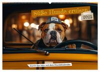 Süße Hunde cruisen - durch das Jahr mit dem Hundekalender (Wandkalender 2025 DIN A2 quer), CALVENDO Monatskalender