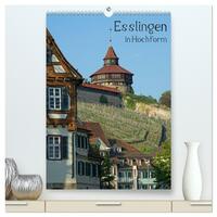 Esslingen in Hochform (hochwertiger Premium Wandkalender 2026 DIN A2 hoch), Kunstdruck in Hochglanz
