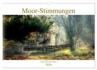 Moor-Stimmungen (Wandkalender 2026 DIN A3 quer), CALVENDO Monatskalender