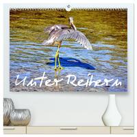 Unter Reihern (hochwertiger Premium Wandkalender 2026 DIN A2 quer), Kunstdruck in Hochglanz
