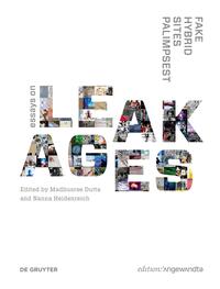 Fake Hybrid Sites Palimpsest