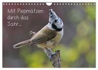 Mit Piepmätzen durch das Jahr ... (Wandkalender 2025 DIN A4 quer), CALVENDO Monatskalender