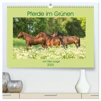 Pferde im Grünen (hochwertiger Premium Wandkalender 2025 DIN A2 quer), Kunstdruck in Hochglanz