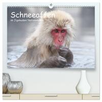 Schneeaffen im Jigokudani Nationalpark (hochwertiger Premium Wandkalender 2026 DIN A2 quer), Kunstdruck in Hochglanz