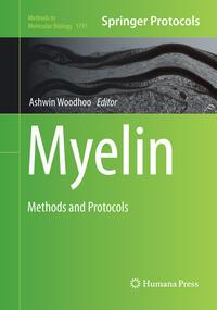 Myelin