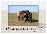 Pferdeland Mongolei (Wandkalender 2025 DIN A4 quer), CALVENDO Monatskalender