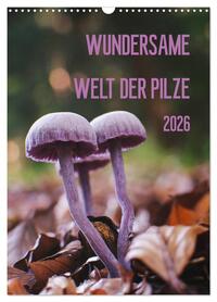 Wundersame Welt der Pilze (Wandkalender 2026 DIN A3 hoch), CALVENDO Monatskalender