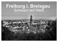 Vorderes Coverbild Freiburg i. Breisgau Schwarz auf Weiß (Wandkalender 2025 DIN A2 quer), CALVENDO Monatskalender