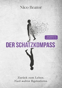 Vorderes Coverbild Der Schatzkompass