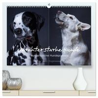 charakterstarke Hunde, wunderschöne Hundeportraits (hochwertiger Premium Wandkalender 2026 DIN A2 quer), Kunstdruck in Hochglanz