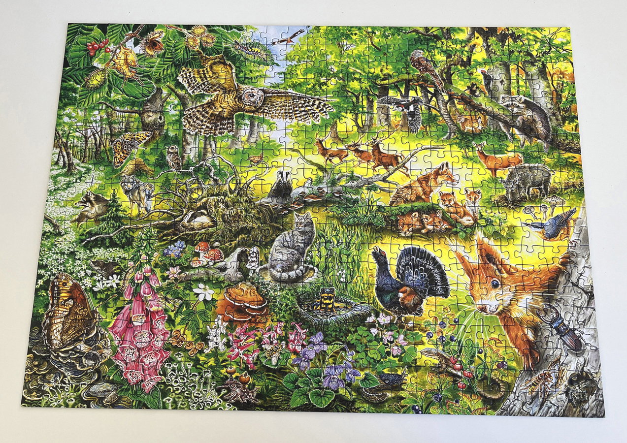 Beispielinhalt (Bild) Wald-Wimmel-Puzzle