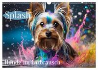 Splash - Hunde im Farbrausch (Wandkalender 2026 DIN A3 quer), CALVENDO Monatskalender