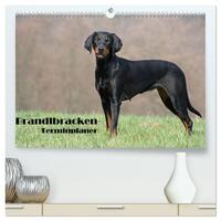Der Brandlbracken-Terminplaner (hochwertiger Premium Wandkalender 2026 DIN A2 quer), Kunstdruck in Hochglanz
