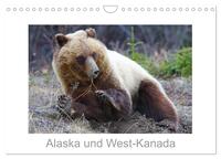 Alaska und West-Kanada (Wandkalender 2026 DIN A4 quer), CALVENDO Monatskalender
