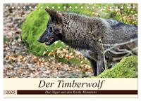 Der Timberwolf - Der Jäger aus den Rocky Mountains (Tischkalender 2025 DIN A5 quer), CALVENDO Monatskalender