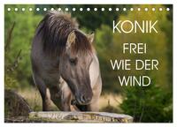 Konik - Frei geboren (Tischkalender 2025 DIN A5 quer), CALVENDO Monatskalender