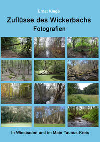Zuflüsse des Wickerbachs - Fotografien