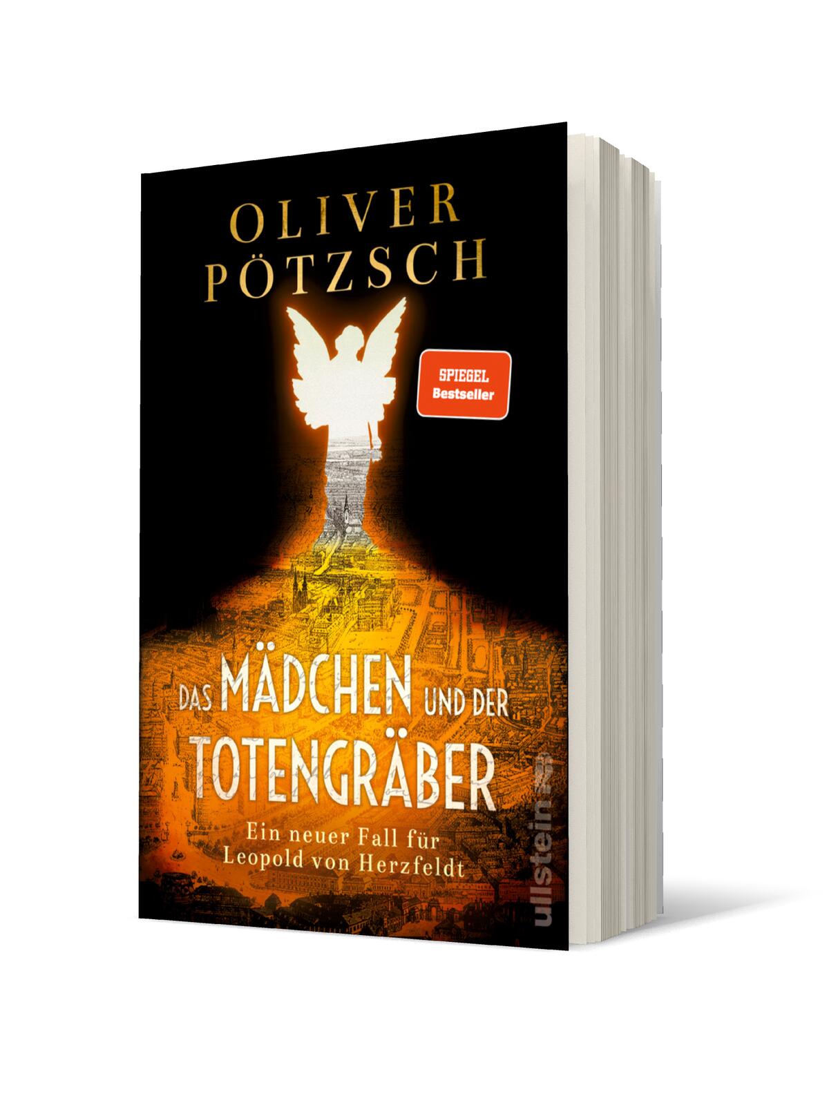 Das Mädchen und der Totengräber (Die Totengräber-Serie 2)