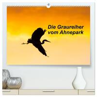 Die Graureiher vom Ahnepark (hochwertiger Premium Wandkalender 2025 DIN A2 quer), Kunstdruck in Hochglanz