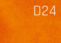 D24