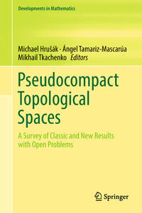 Pseudocompact Topological Spaces