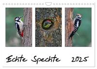 Echte Spechte (Wandkalender 2025 DIN A4 quer), CALVENDO Monatskalender