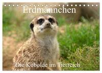 Vorderes Coverbild Erdmännchen - Die Kobolde im Tierreich (Tischkalender 2025 DIN A5 quer), CALVENDO Monatskalender