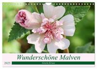 Wunderschöne Malven (Wandkalender 2025 DIN A4 quer), CALVENDO Monatskalender