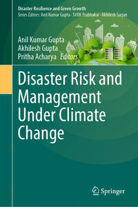 Vorderes Coverbild Disaster Risk and Management Under Climate Change