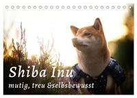 Vorderes Coverbild Shiba Inu - mutig, treu, selbstbewusst (Tischkalender 2025 DIN A5 quer), CALVENDO Monatskalender