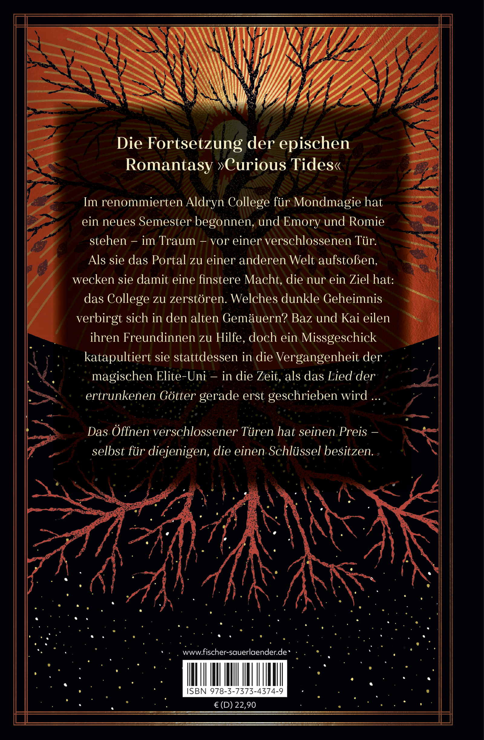 Rückseitencover Stranger Skies