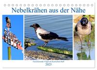 Nebelkrähen aus der Nähe - Faszinierende Vögel am Kurischen Haff (Tischkalender 2025 DIN A5 quer), CALVENDO Monatskalender