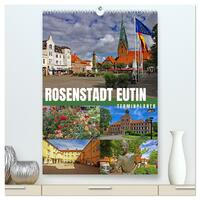 Rosenstadt Eutin - Terminplaner (hochwertiger Premium Wandkalender 2025 DIN A2 hoch), Kunstdruck in Hochglanz