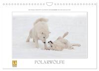 Vorderes Coverbild Emotionale Momente: Polarwölfe. (Wandkalender 2025 DIN A4 quer), CALVENDO Monatskalender