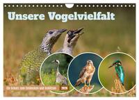 Unsere Vogelvielfalt: Ein Schatz zum Entdecken und Schützen (Wandkalender 2026 DIN A4 quer), CALVENDO Monatskalender