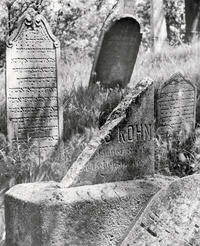 Der jüdische Friedhof von Mikulov / Židovsky Hrbitov v Mikulove