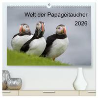 Welt der Papageitaucher (hochwertiger Premium Wandkalender 2026 DIN A2 quer), Kunstdruck in Hochglanz