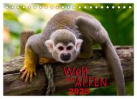 Welt der Affen (Tischkalender 2025 DIN A5 quer), CALVENDO Monatskalender