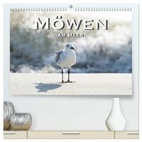 Möwen am Meer (hochwertiger Premium Wandkalender 2025 DIN A2 quer), Kunstdruck in Hochglanz