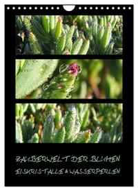 ZAUBERWELT DER BLUMEN - EISKRISTALLE & WASSERPERLEN (Wandkalender 2025 DIN A4 hoch), CALVENDO Monatskalender