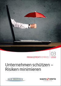 Managementkompass Unternehmen schützen - Risiken minimieren