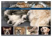 Leidenschaft Hund (Wandkalender 2025 DIN A4 quer), CALVENDO Monatskalender