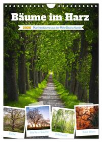 Bäume im Harz (Wandkalender 2026 DIN A4 hoch), CALVENDO Monatskalender