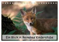 Ein Blick in Reinekes Kinderstube (Tischkalender 2026 DIN A5 quer), CALVENDO Monatskalender
