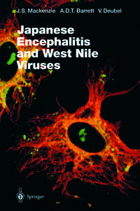 Japanese Encephalitis and West Nile Viruses