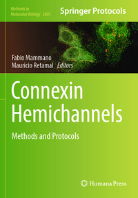 Connexin Hemichannels