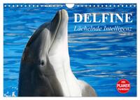 Vorderes Coverbild Delfine - Lächelnde Intelligenz (Wandkalender 2026 DIN A4 quer), CALVENDO Monatskalender