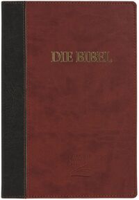 Schlachter 2000 Bibel - Großdruckausgabe (Softcover, grau/braun)