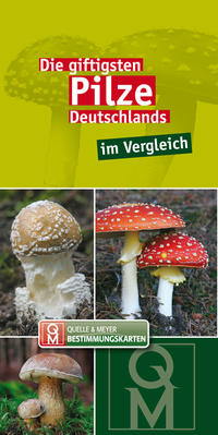 Die giftigsten Pilze Deutschlands im Vergleich