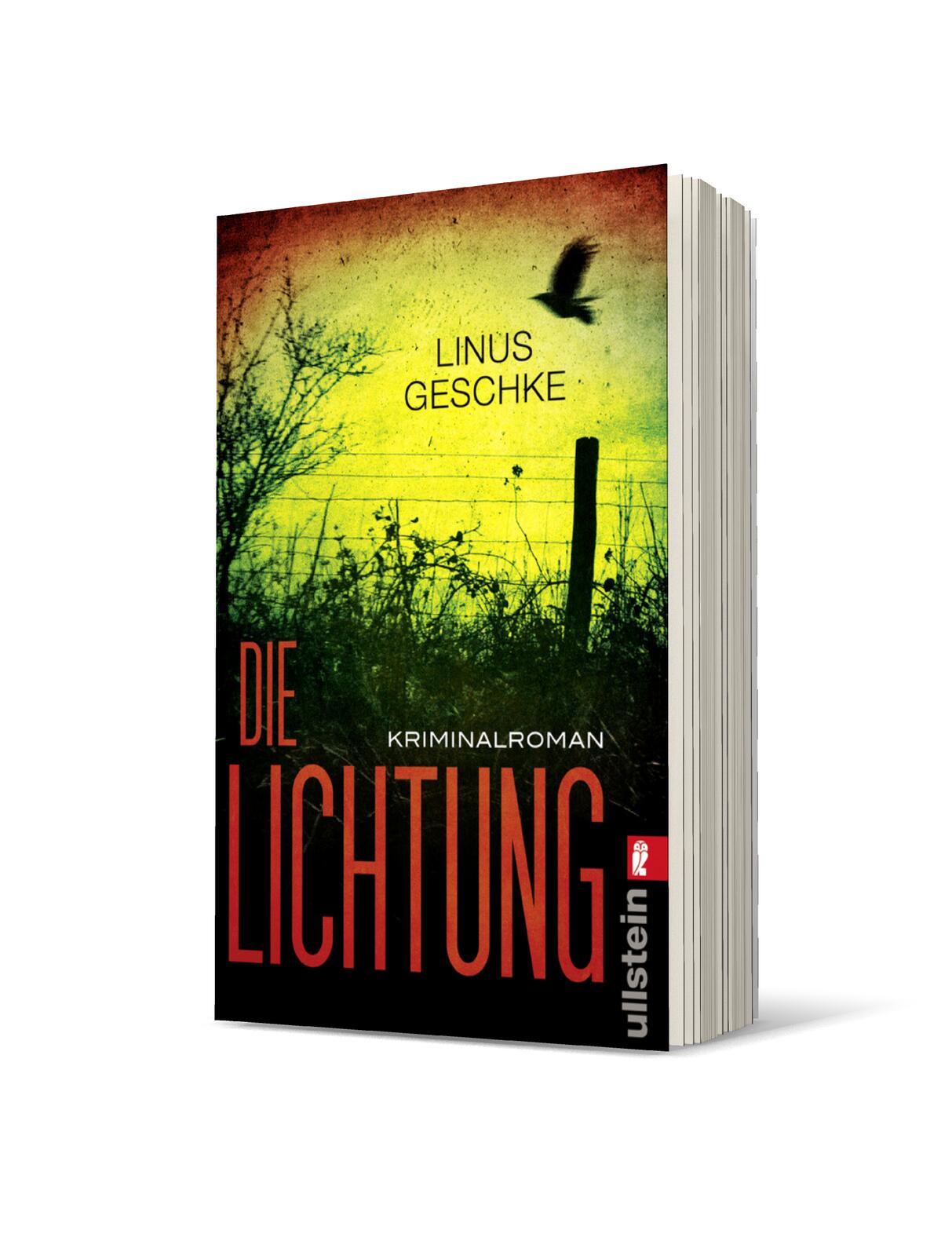 Die Lichtung (Jan-Römer-Krimi 1)